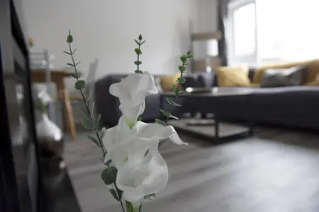 003f4530b9a49cb6be9df7ee2d9350d959af41ff764d006b855e35a5958d08e9