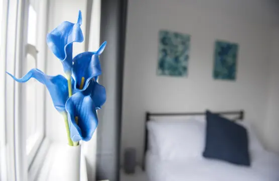 18643b8f7cd9ded1c01c2778c969821ffe8ba342dc55e6a1d99355d86ad79a4b