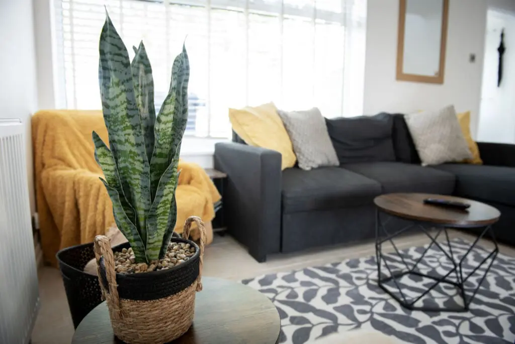 8f89696d2f5ad460ba2d324397509dc44ed2d13e0cecd7cb57620d6e04339f4f