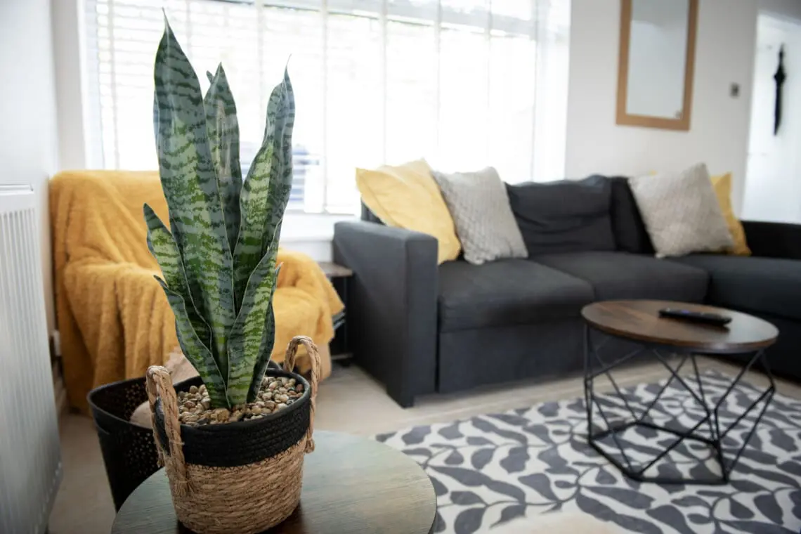 8f89696d2f5ad460ba2d324397509dc44ed2d13e0cecd7cb57620d6e04339f4f