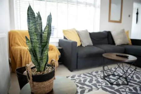 8f89696d2f5ad460ba2d324397509dc44ed2d13e0cecd7cb57620d6e04339f4f