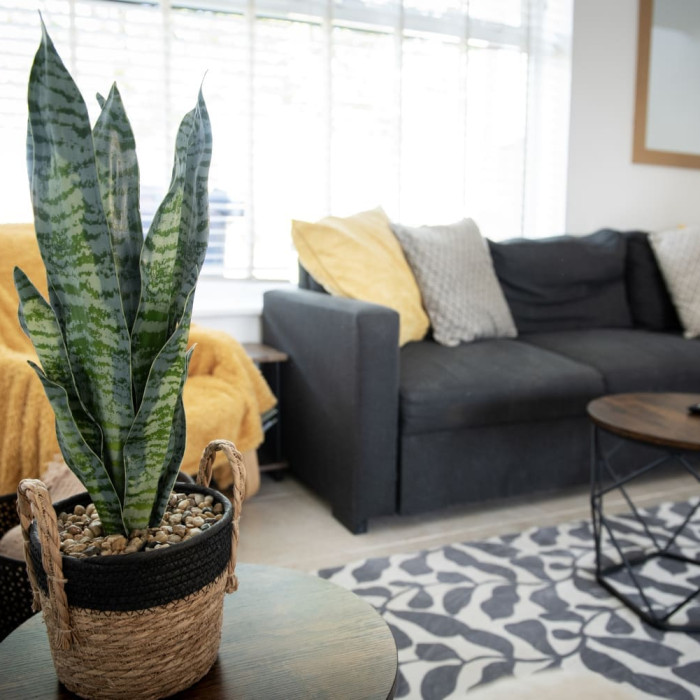 8f89696d2f5ad460ba2d324397509dc44ed2d13e0cecd7cb57620d6e04339f4f